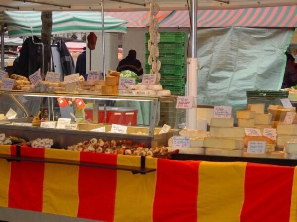 LAMBERT 500 – 4.2 – 7.0