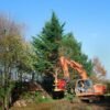 RABAUD XYLOCUT 310 PE | Fällgreifer für Bagger 13,0 bis 17,0 to.