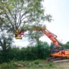 RABAUD XYLOCUT 310 PE | Fällgreifer für Bagger 13,0 bis 17,0 to.