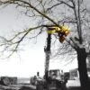 RABAUD XYLOCUT 300 | Fällgreifer für Teleskoplader